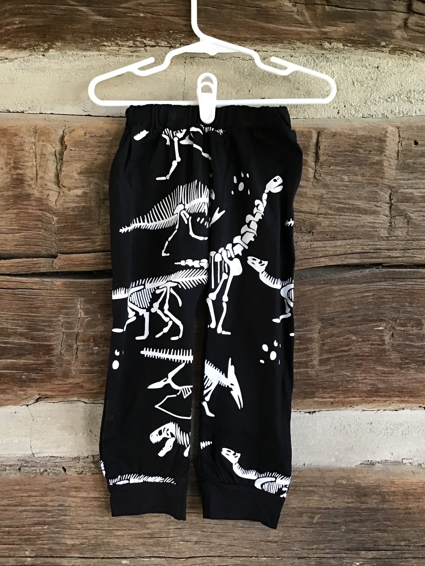 Boutique NEW!! Dinosaur Shirt & Pants Set youth sizes